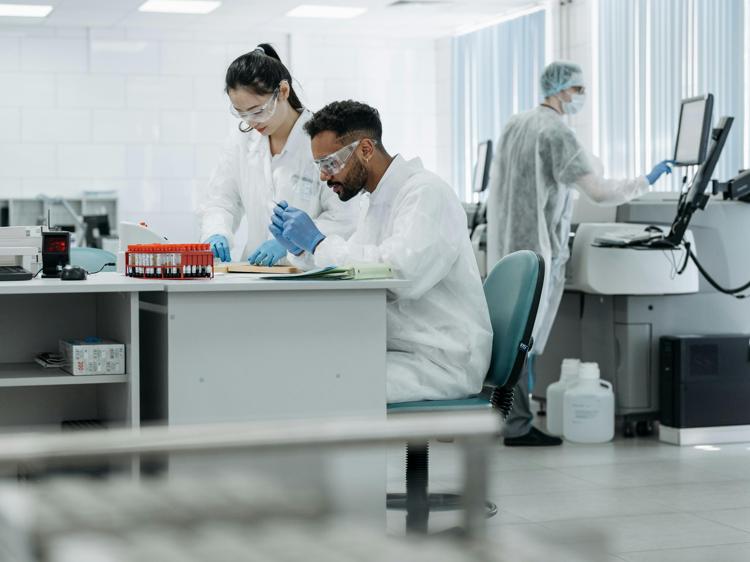 - - - -